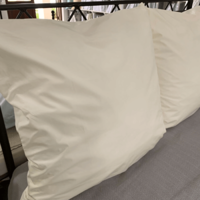 Pillowcase • Continental • 200T • 100% Cotton Percale