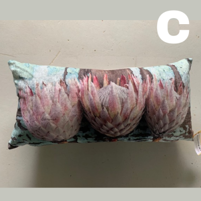 Scatter Cushion • Standard • Small • Assorted